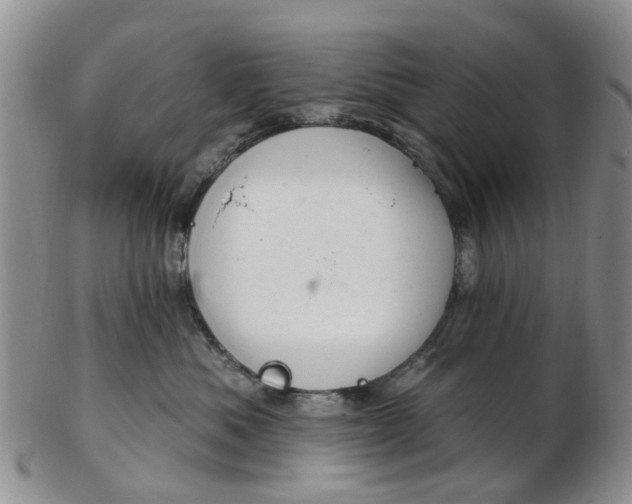 X0000103170525200809051724