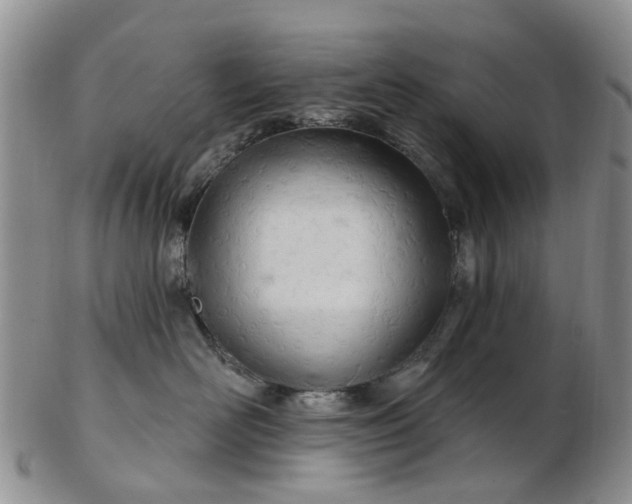 X0000103170526200809051724