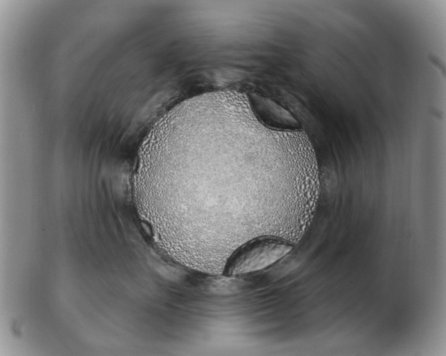 X0000103170527200809051724