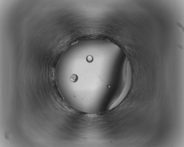 X0000103170528200809051724