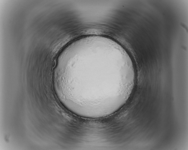 X0000103170529200809051724