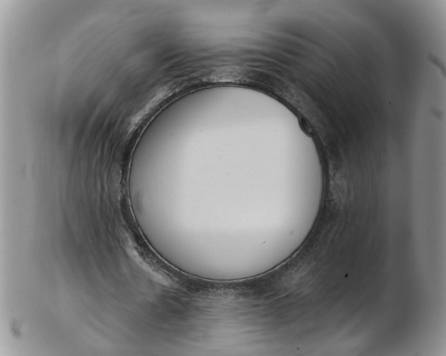 X0000103170530200809051724