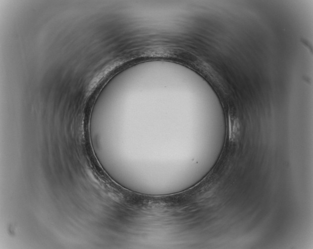 X0000103170531200809051724