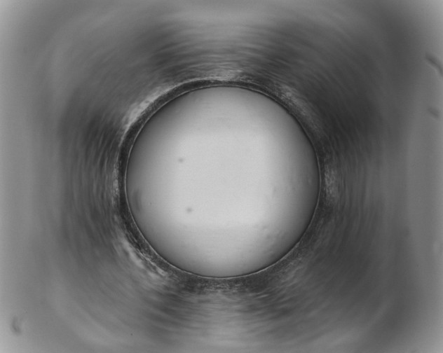 X0000103170532200809051724