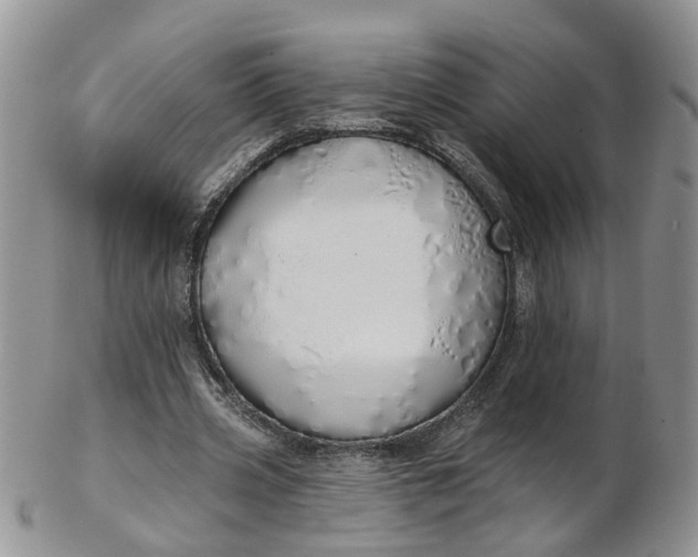 X0000103170533200809051724