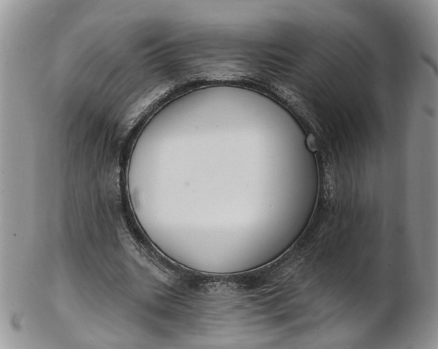 X0000103170535200809051724