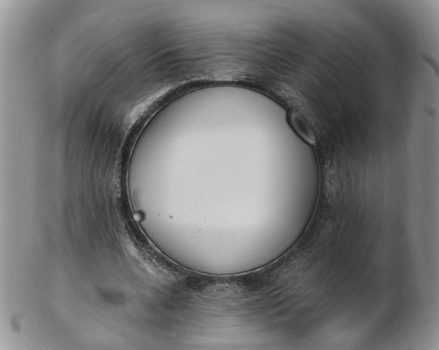 X0000103170536200809051724