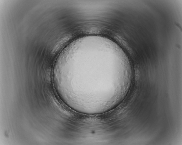 X0000103170537200809051724