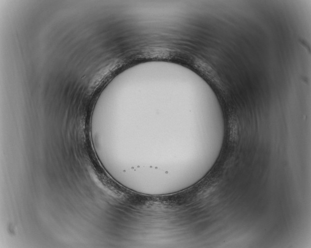 X0000103170538200809051724