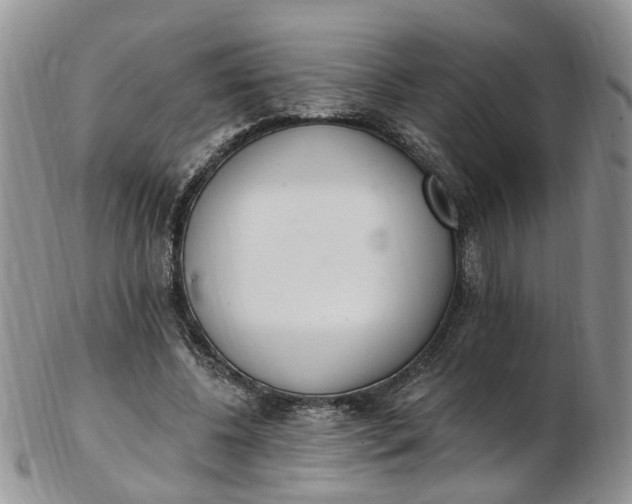 X0000103170540200809051724