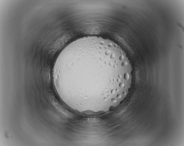 X0000103170541200809051724