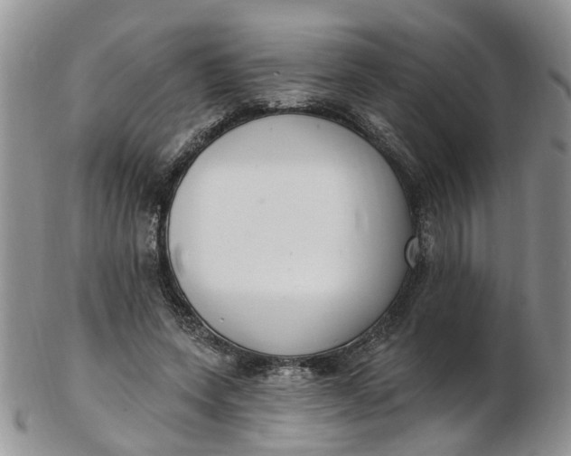 X0000103170543200809051724