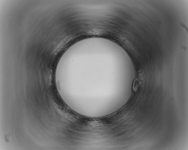 X0000103170544200809051724