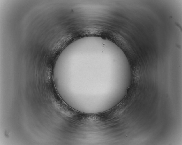 X0000103170546200809051724