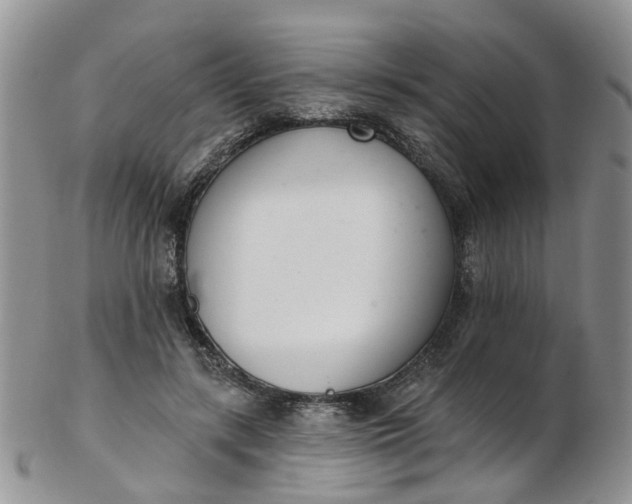 X0000103170547200809051724