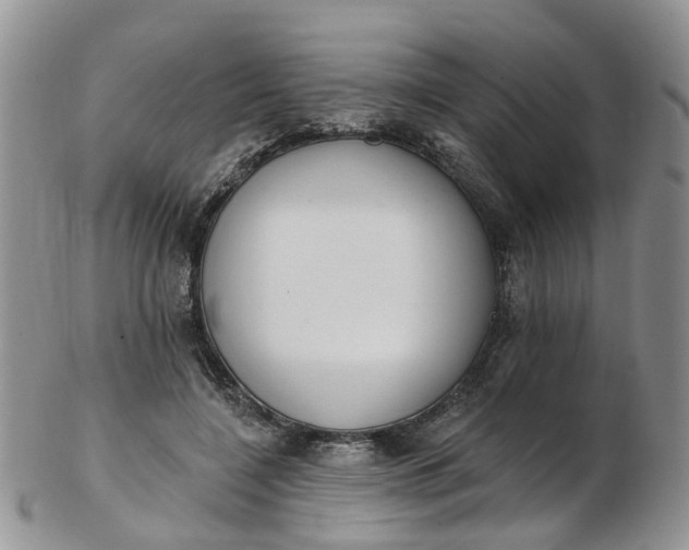 X0000103170548200809051724