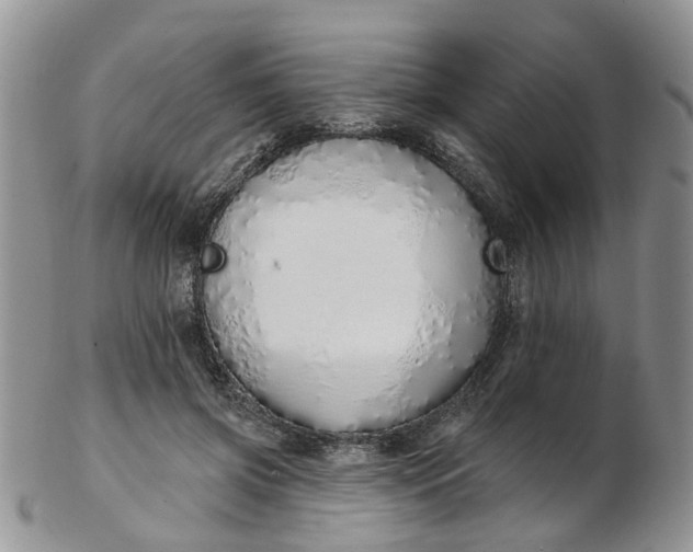 X0000103170549200809051724