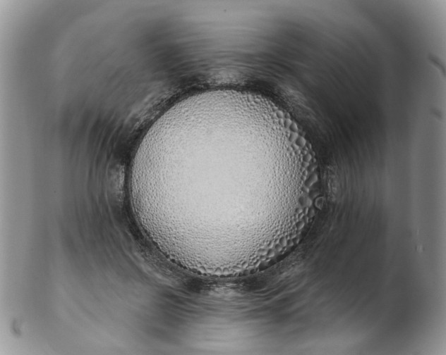 X0000103170550200809051724