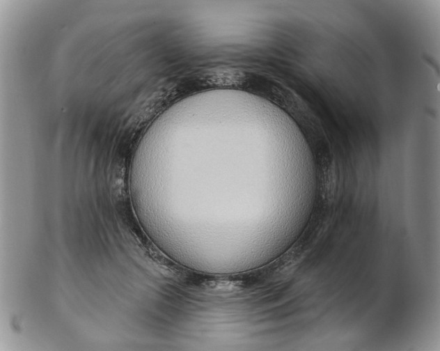 X0000103170553200809051724