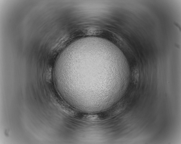 X0000103170554200809051724