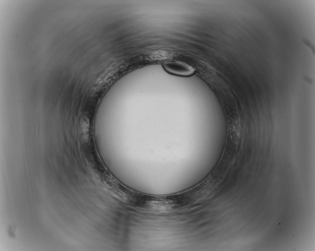 X0000103170556200809051724