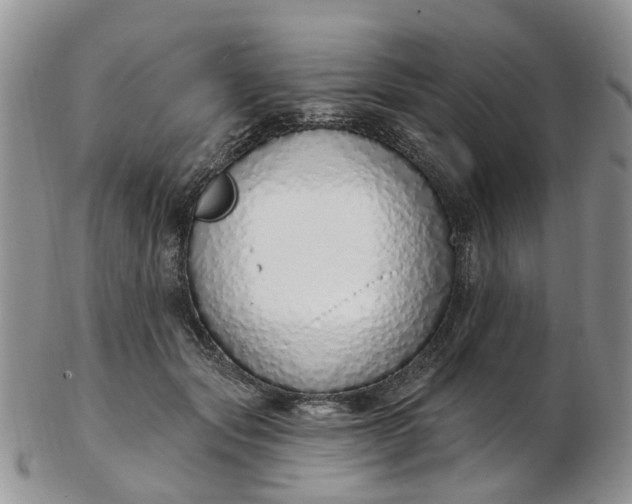 X0000103170557200809051724