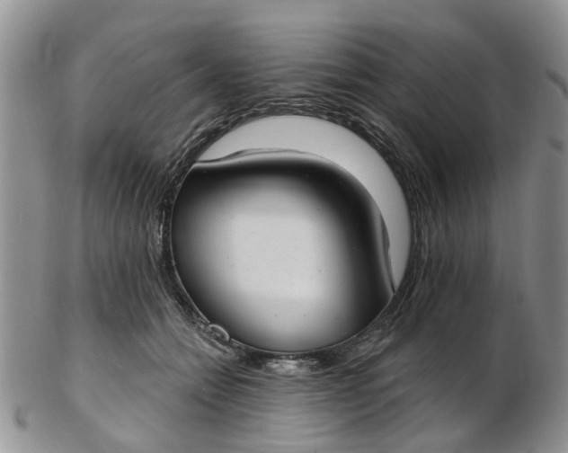 X0000103170558200809051724