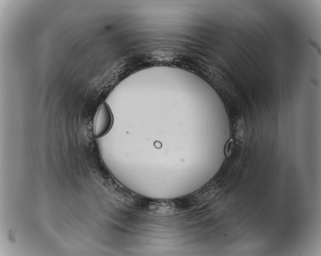 X0000103170559200809051724