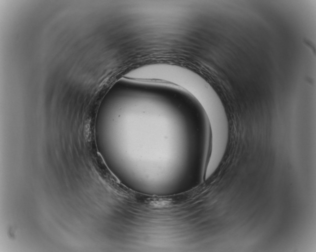 X0000103170560200809051724