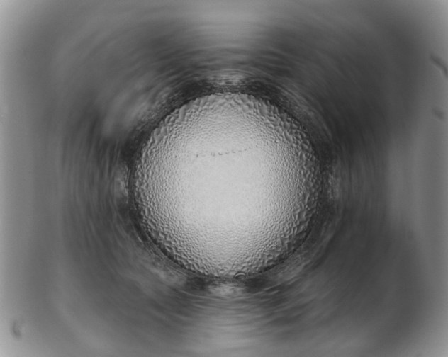 X0000103170561200809051724