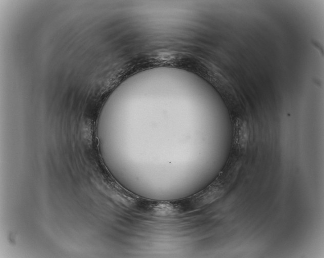 X0000103170562200809051724