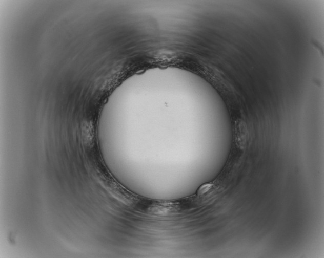 X0000103170563200809051724