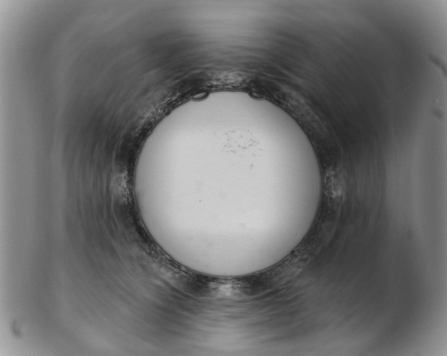 X0000103170564200809051724