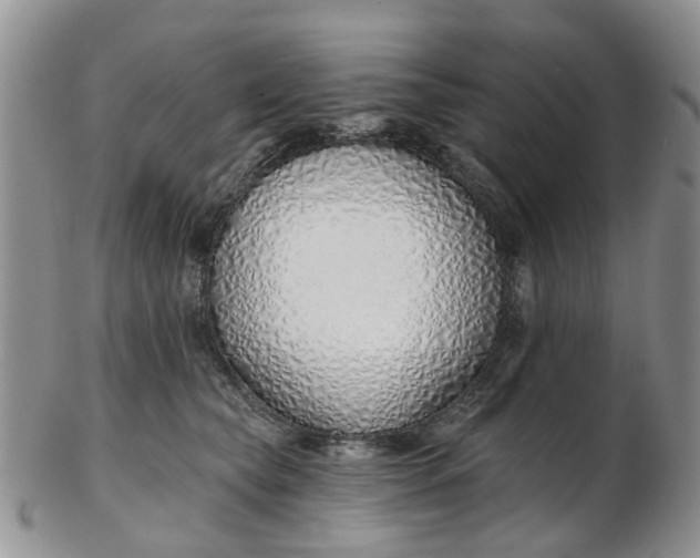 X0000103170565200809051724