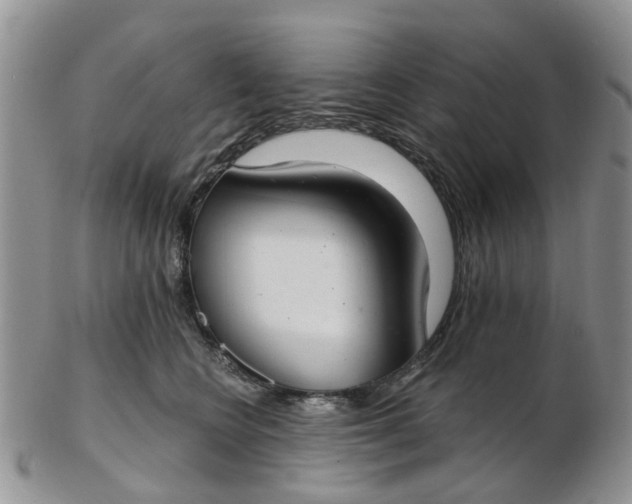 X0000103170566200809051724