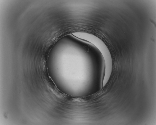 X0000103170568200809051724