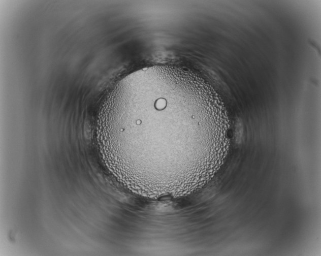 X0000103170569200809051724