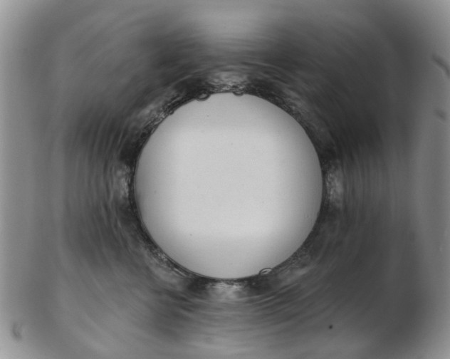 X0000103170570200809051724