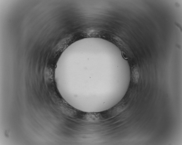 X0000103170571200809051724