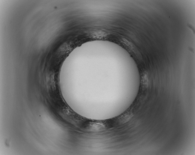 X0000103170572200809051724