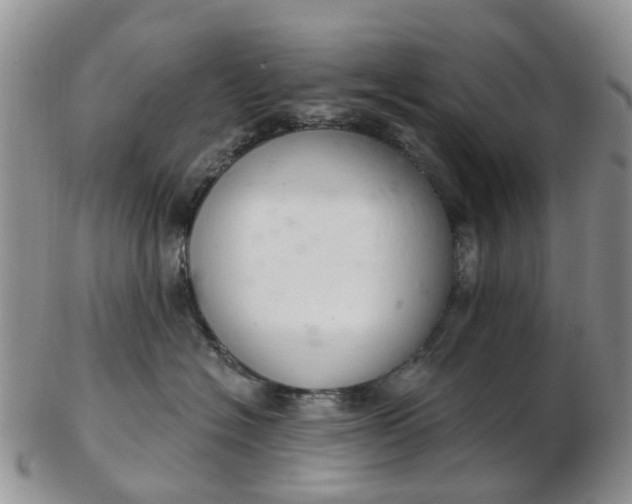 X0000103170574200809051724