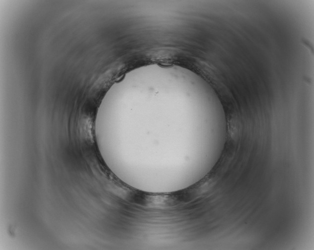 X0000103170575200809051724