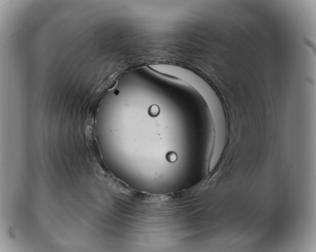 X0000103170576200809051724