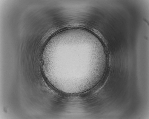 X0000103170577200809051724