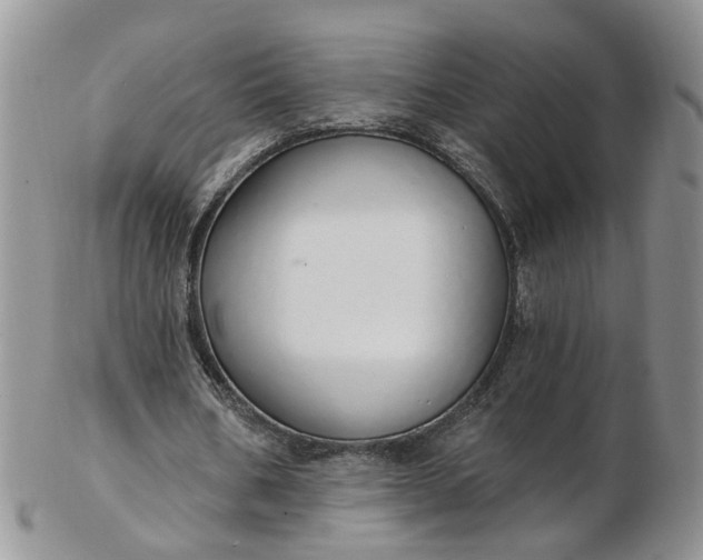 X0000103170578200809051724