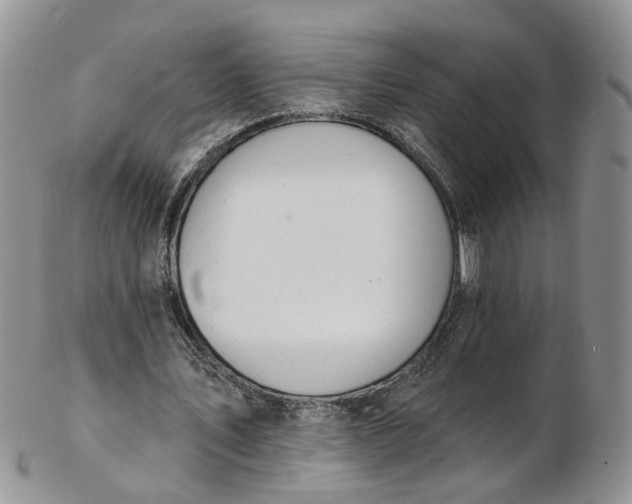 X0000103170579200809051724