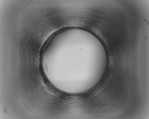 X0000103170580200809051724