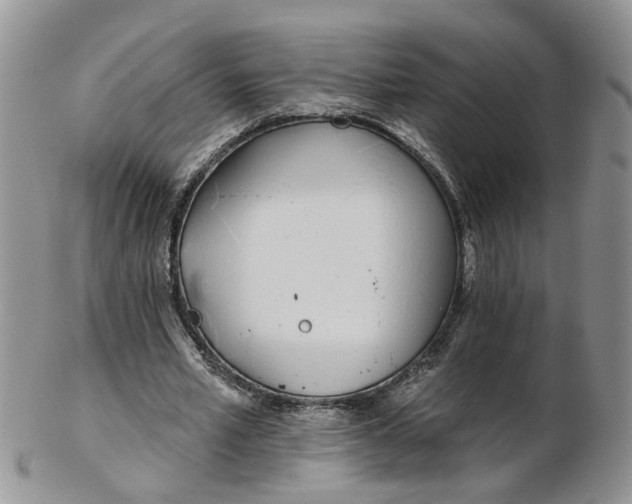 X0000103170581200809051724