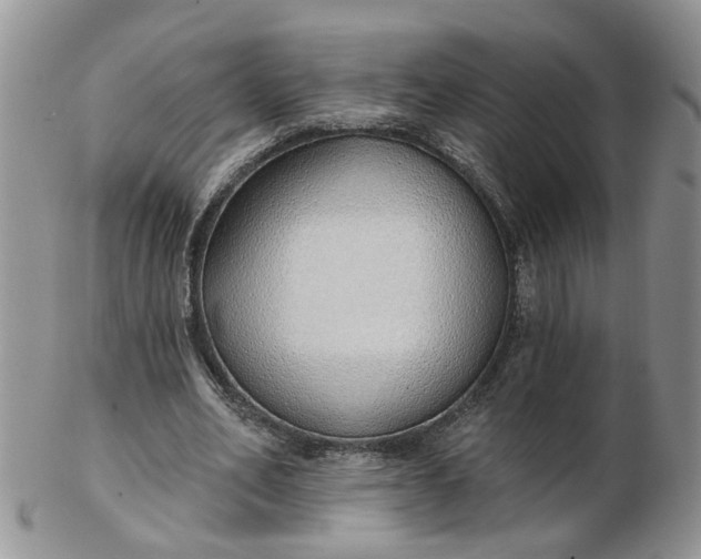 X0000103170582200809051724