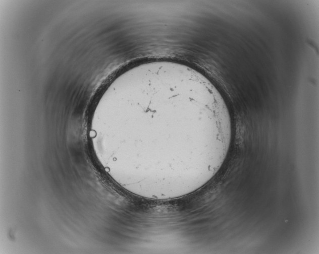 X0000103170584200809051724